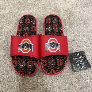 ISlide Ohio State Buckeyes Slides